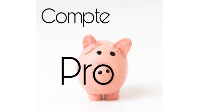 Avoir un compte bancaire professionnel ou ne pas avoir un compte bancaire professionnel tel est la question... BBK Management